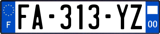 FA-313-YZ