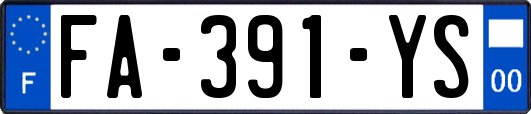 FA-391-YS