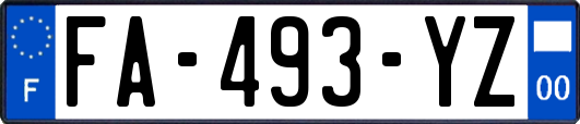 FA-493-YZ