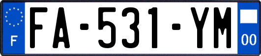 FA-531-YM