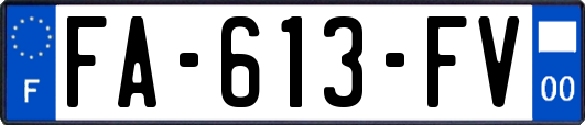 FA-613-FV
