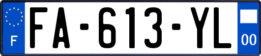 FA-613-YL