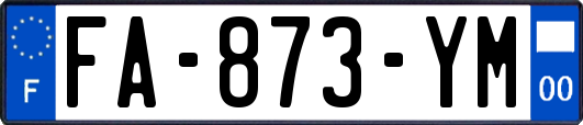 FA-873-YM