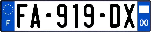 FA-919-DX