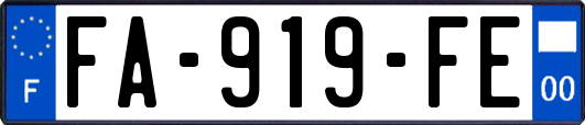 FA-919-FE