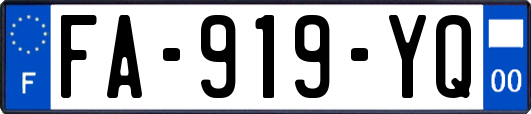 FA-919-YQ