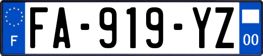 FA-919-YZ