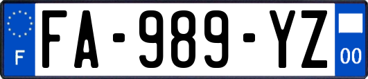 FA-989-YZ