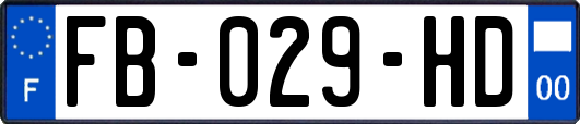 FB-029-HD