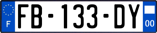 FB-133-DY