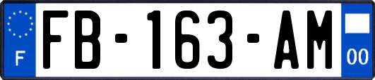 FB-163-AM