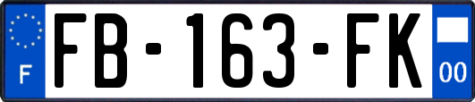 FB-163-FK