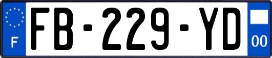FB-229-YD