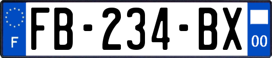 FB-234-BX