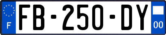 FB-250-DY