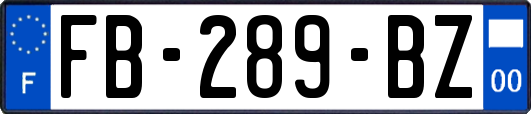 FB-289-BZ