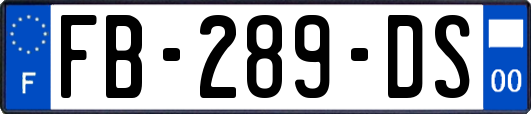 FB-289-DS