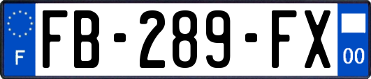 FB-289-FX