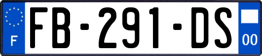 FB-291-DS