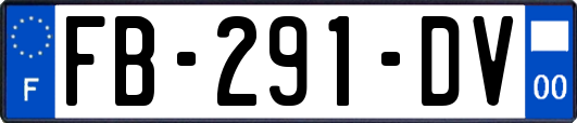 FB-291-DV