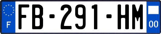 FB-291-HM