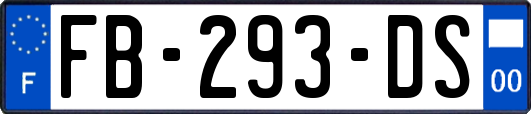 FB-293-DS