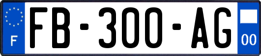 FB-300-AG