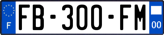 FB-300-FM