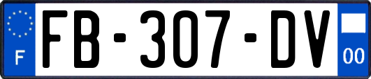 FB-307-DV