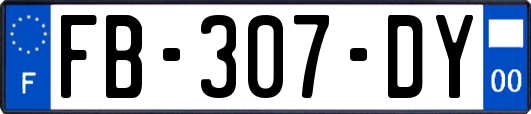 FB-307-DY