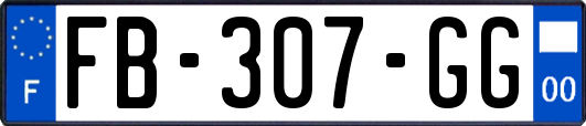 FB-307-GG