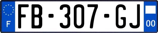 FB-307-GJ