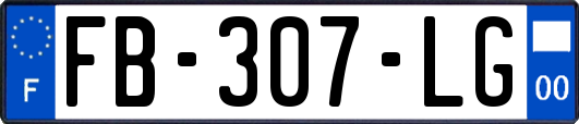 FB-307-LG