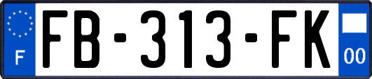 FB-313-FK