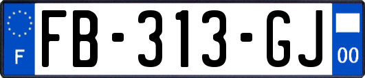 FB-313-GJ