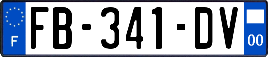 FB-341-DV