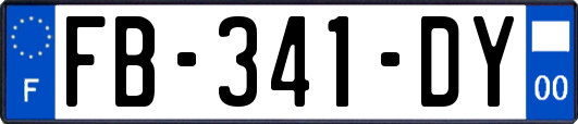 FB-341-DY