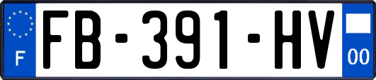 FB-391-HV