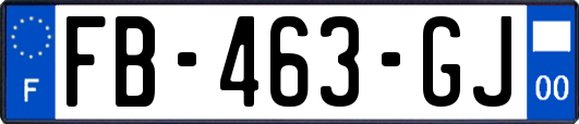 FB-463-GJ