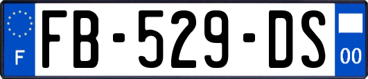 FB-529-DS