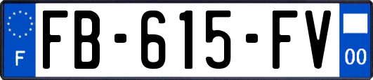 FB-615-FV