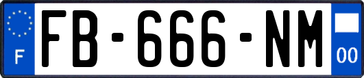 FB-666-NM