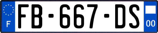 FB-667-DS