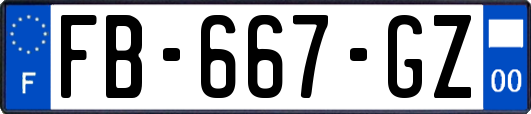 FB-667-GZ