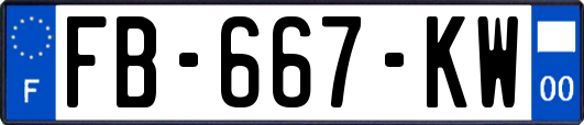 FB-667-KW