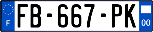 FB-667-PK