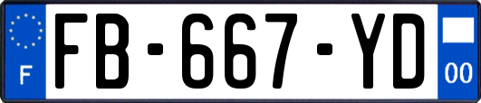FB-667-YD