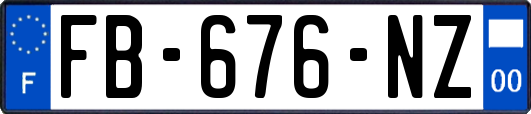 FB-676-NZ