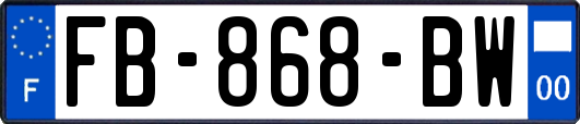 FB-868-BW