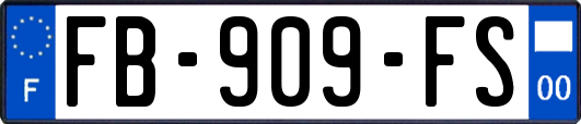 FB-909-FS